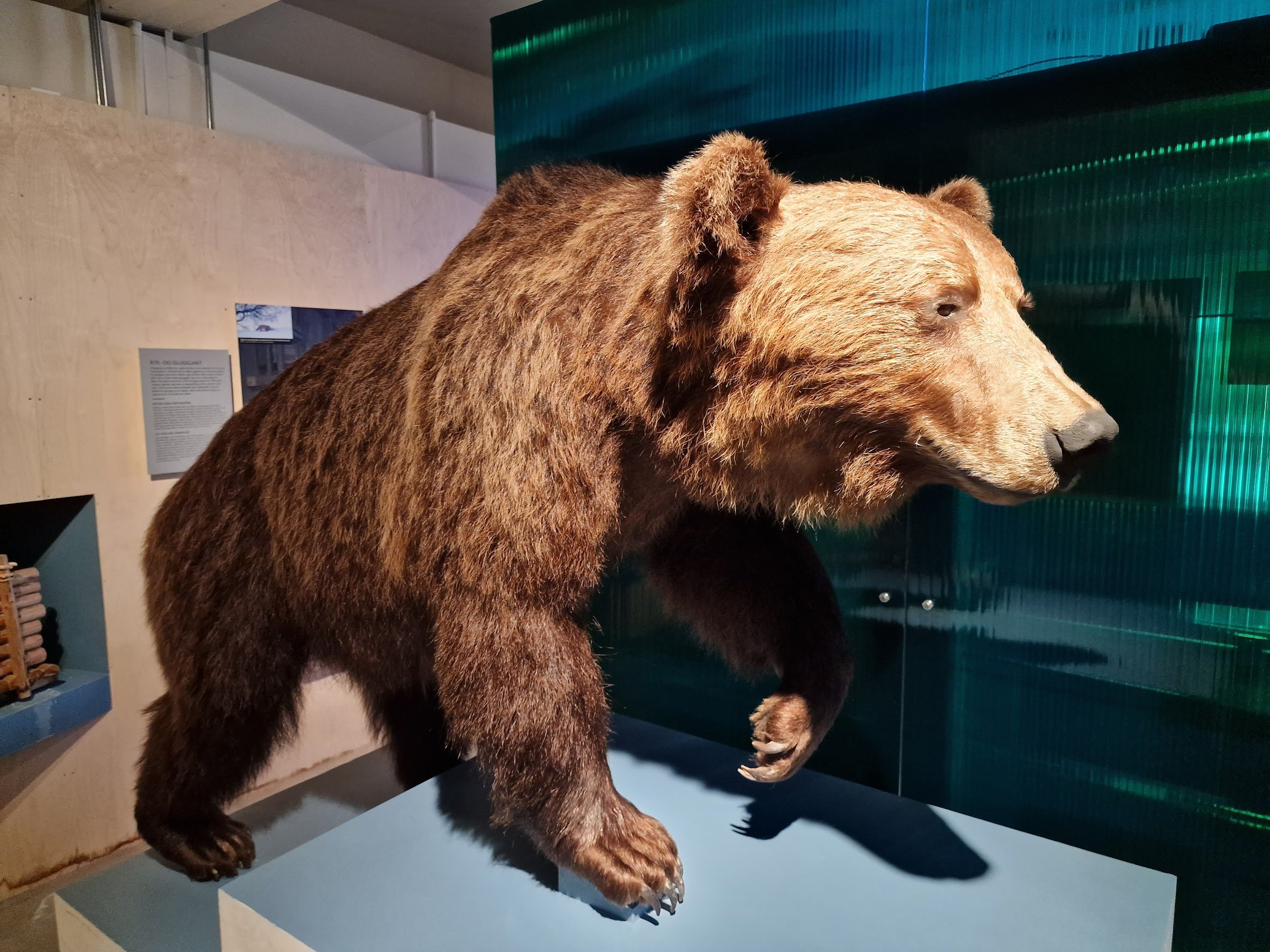 Norwegian Forestry Museum (Skogmuseet)